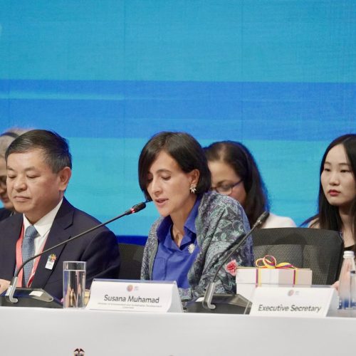 É retomada a COP16, da biodiversidade, agora em Roma